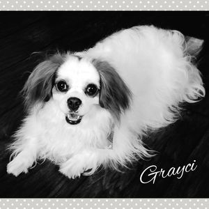 Meet your Posher, Carla